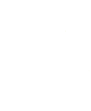 SENEGAZELLE 2010